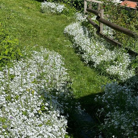 Huguette Studio 18M2 Courchevel Eksteriør billede