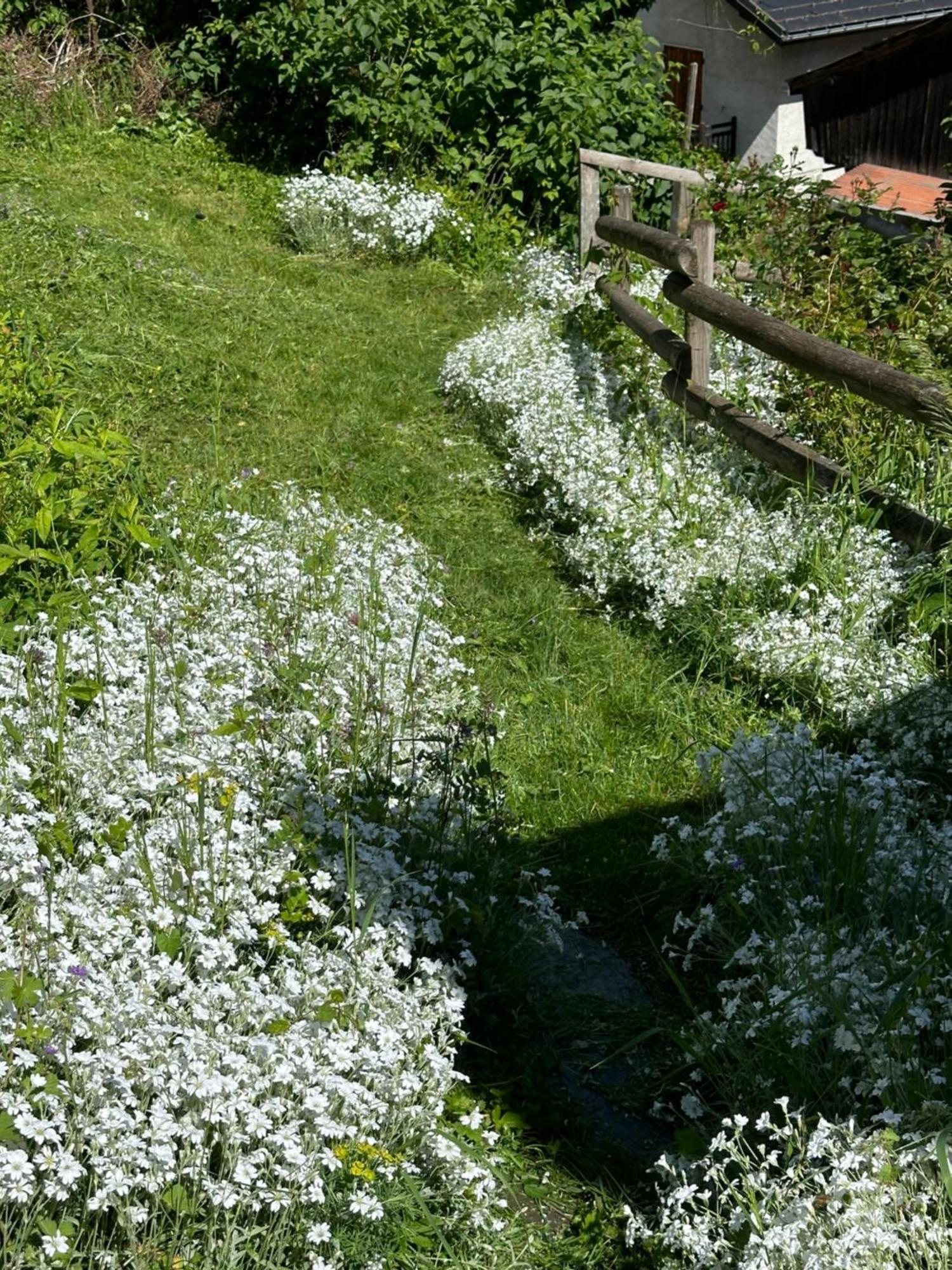 Huguette Studio 18M2 Courchevel Eksteriør billede